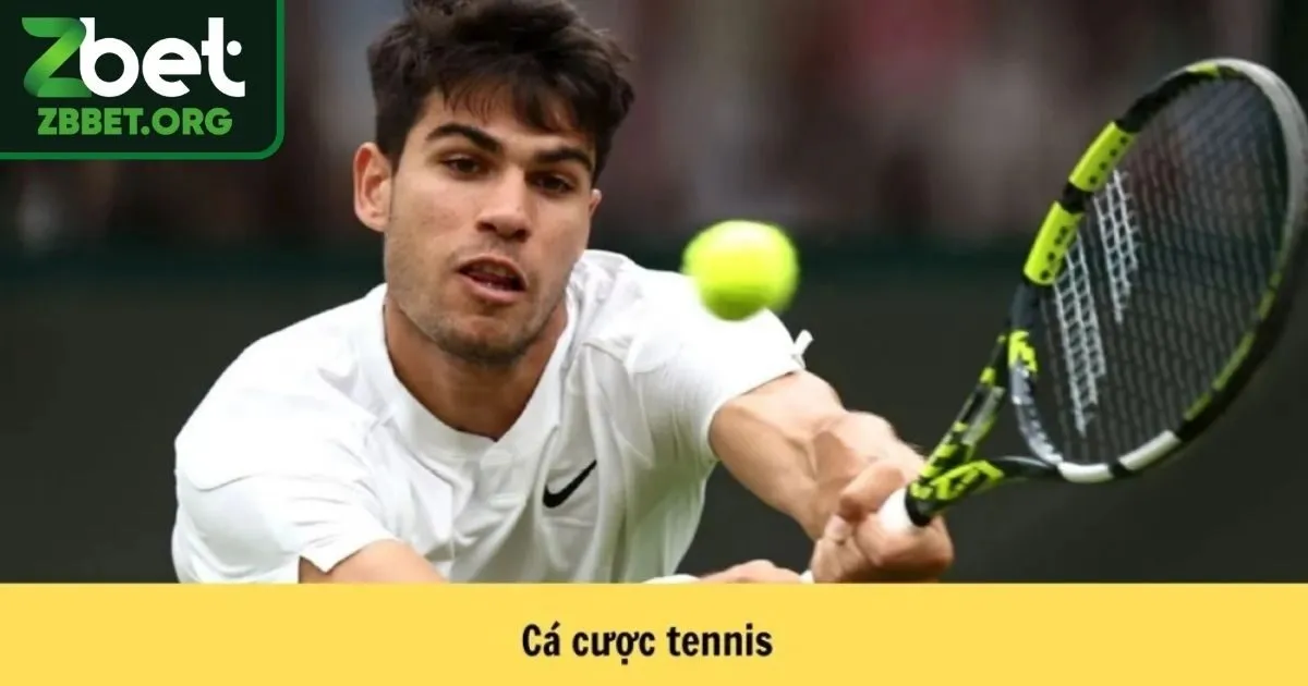Tìm hiểu cơ bản về hình thức cá cược tennis Zbet